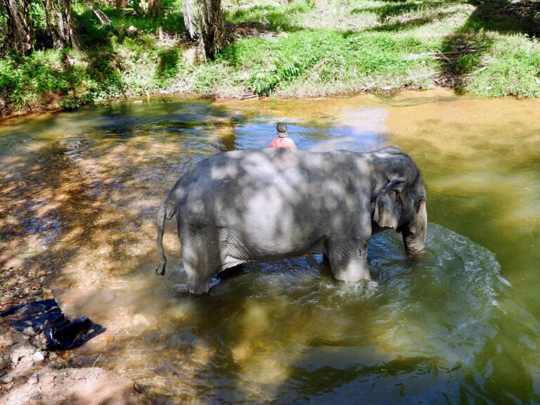 Incentive en Thaïlande